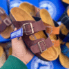 Men Birkenstock Arizona Sandal